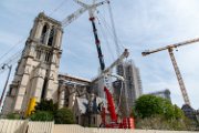notre dame-1