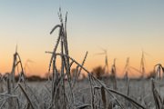 2022-12-14_Rijp-6